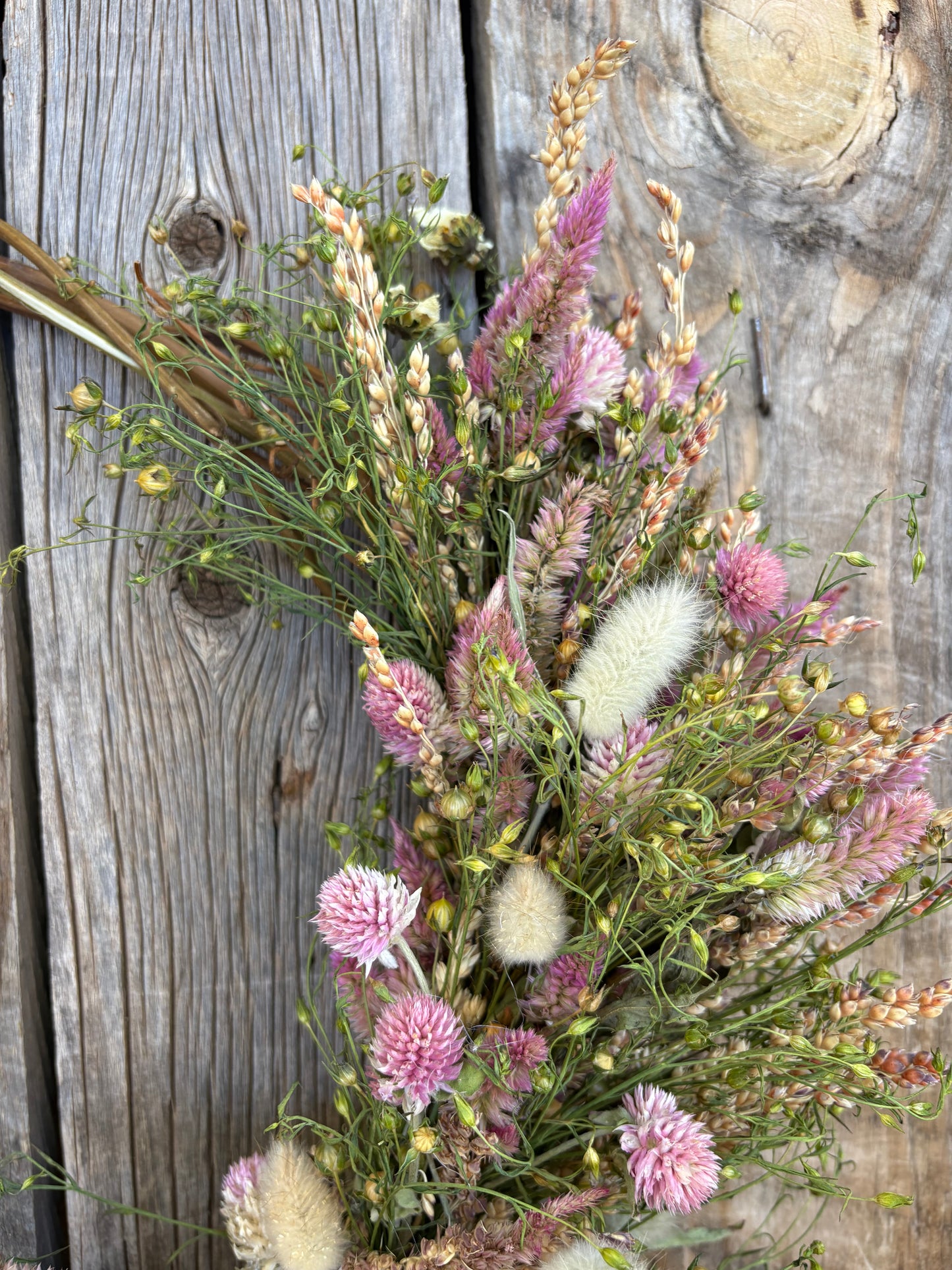 Everlasting Wreath Sunrise