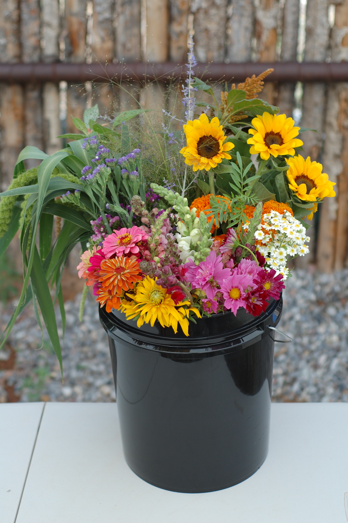 Bucket of Blooms