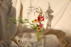 Bud Vase Collection