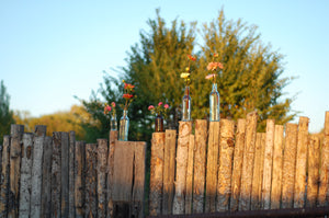 Bud Vase Collection