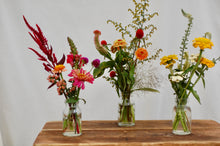 Load image into Gallery viewer, Cocktail Mini Collection
