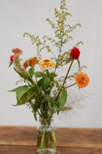 Load image into Gallery viewer, Cocktail Mini Collection
