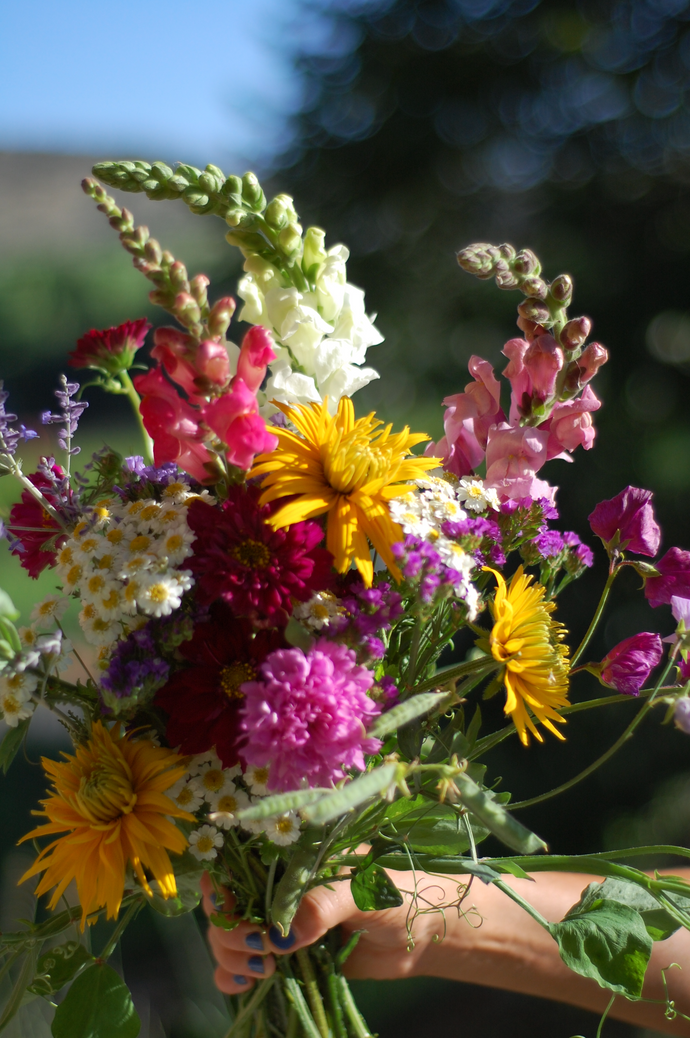 Seasonal Farm Bouquet